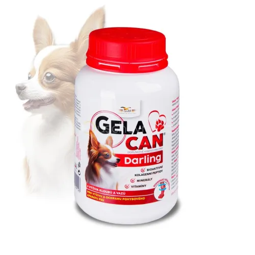 Gelacan Darling dla psów