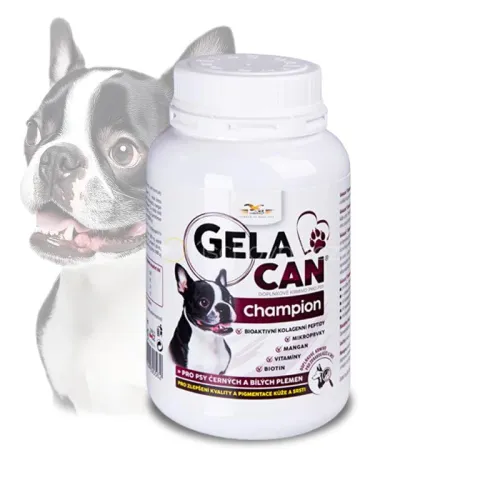 Gelacan Champion Black & White