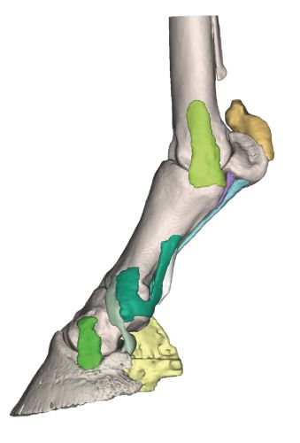 Model stopy konia w postaci wydruku 3D - Model 4 1512305117.jpg