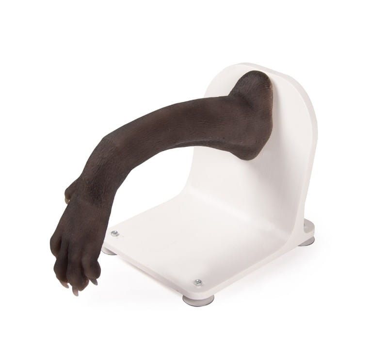 Trenażer łapy psa do bandażowania