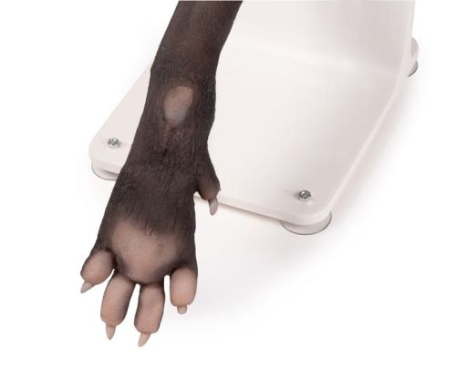 Trenażer łapy psa do bandażowania 1613657554-3.jpg