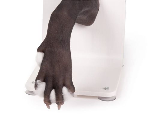 Trenażer łapy psa do bandażowania 1613657554-4.jpg