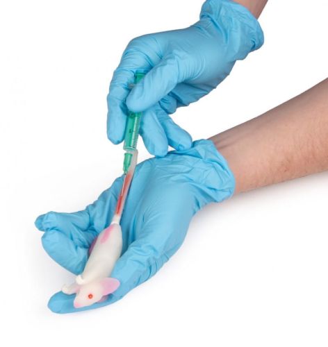 Symulator myszy 1620119656-6.jpg