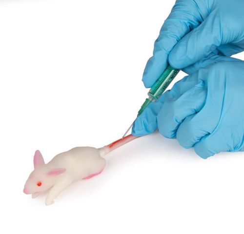 Symulator myszy 1620119656-8.jpg