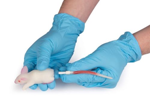 Symulator myszy 1620119656-3.jpg