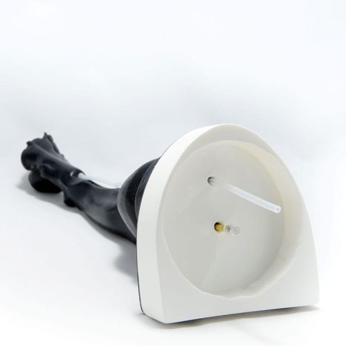 Symulator dostępu naczyniowego kończyny psa 1570914783.jpg