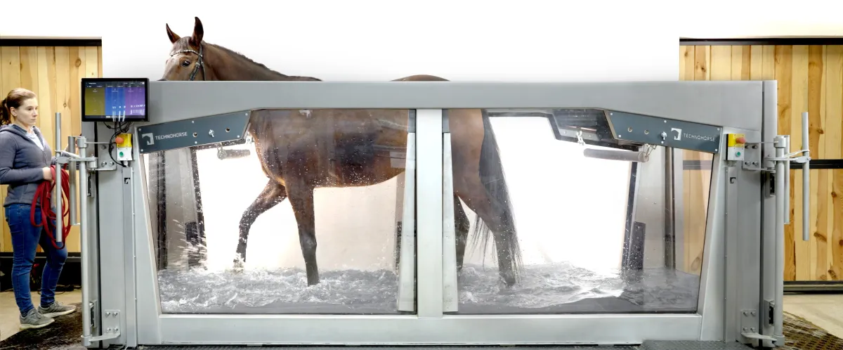 watertreadmil_bez_logol (1).webp