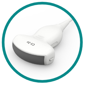 Aparat Ultrasonograficzny Acuson Maple SIEMENS C5-2V.png