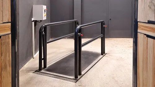 Platforma wibracyjna dla koni Basic Platforma wibracyjna dla koni Basic -2