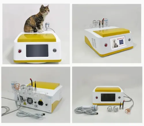 Laser weterynaryjny GOMECY 980nm Laser weterynaryjny GOMECY 980nm