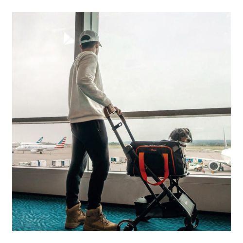 Wózek i transporter Jetpaw 3w1 innopet-jetpaw-3-in-1-kutyakocsi (2).jpg