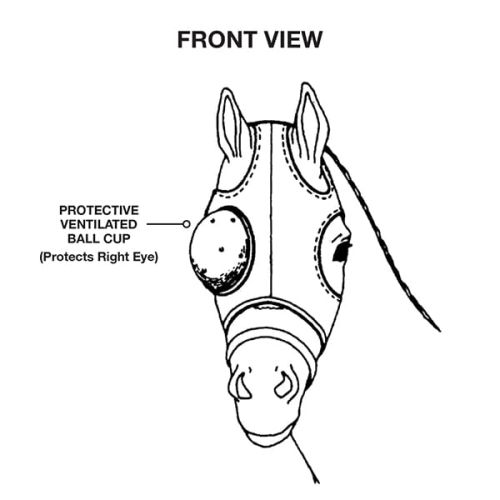 Zestaw do ochrony oczu u koni EyeSaver Zestaw do ochrony oczu u koni EyeSaver-prawe