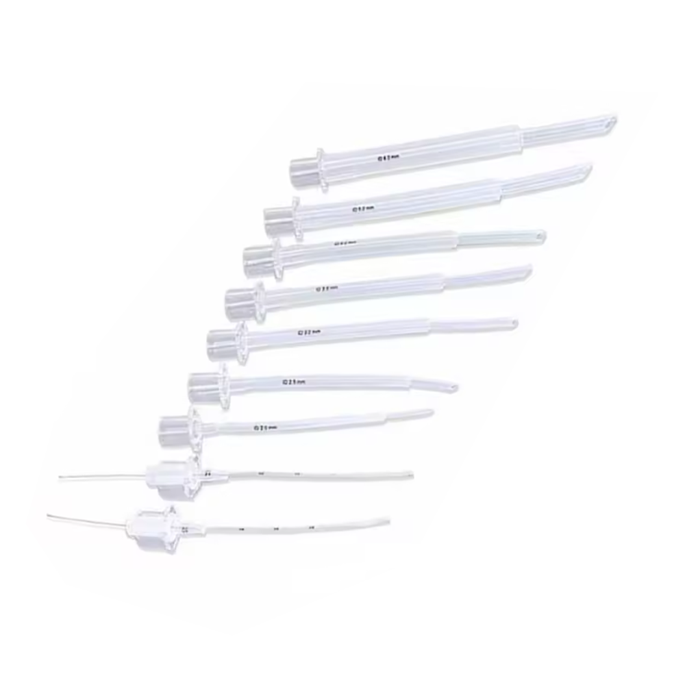 rurki dotchawiczne dla ptaków.png