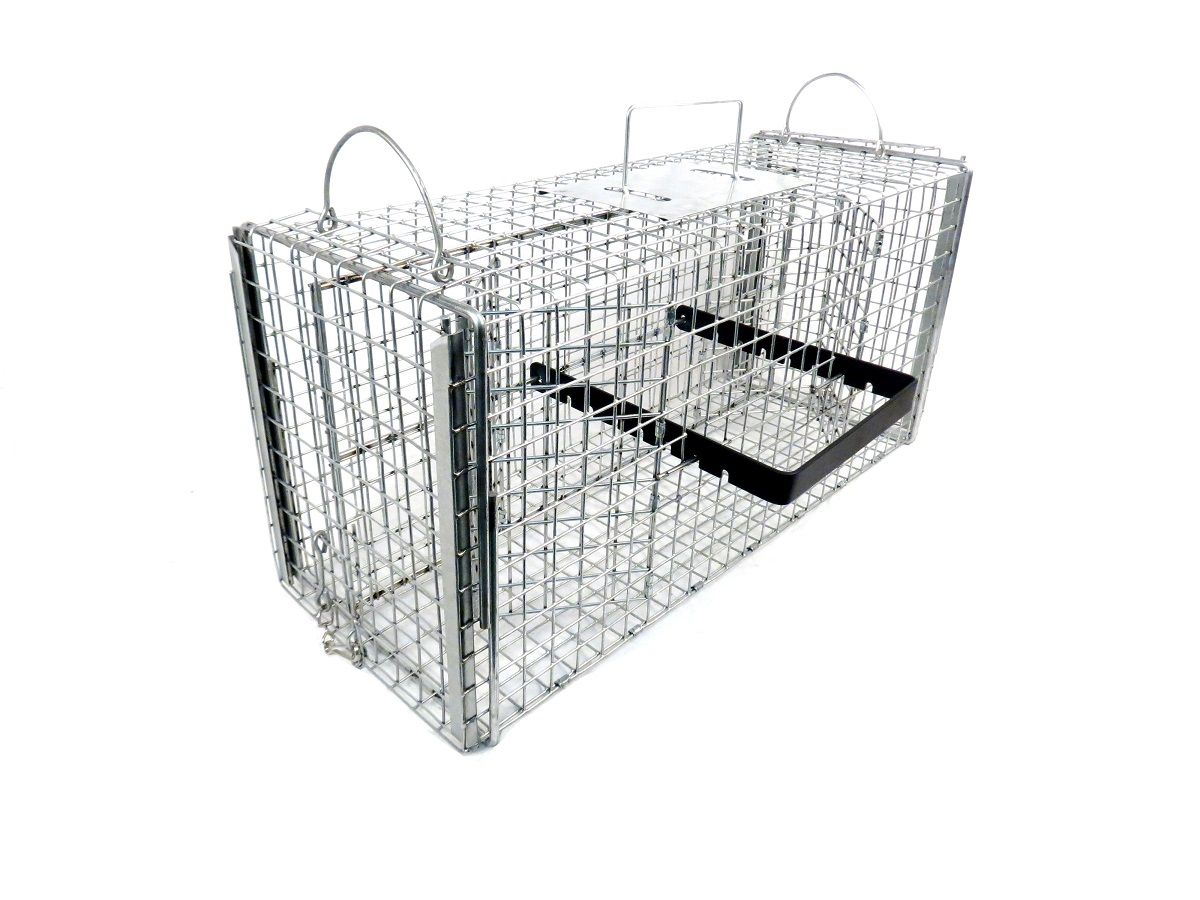 Klatka iniekcyjna dla małych zwierząt RM24
