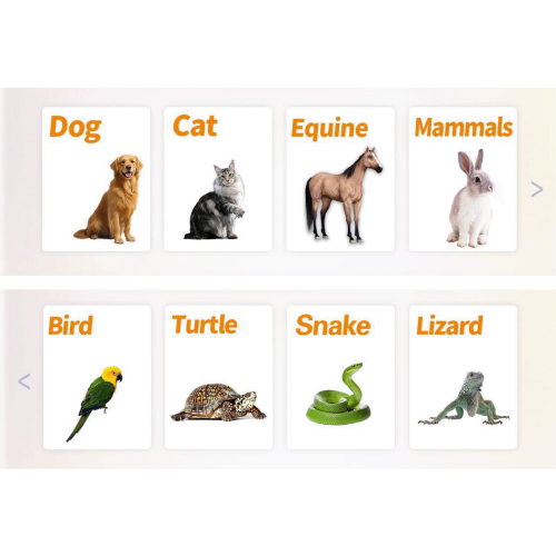 Laser weterynaryjny TooLas lasero-tootoo-2.png