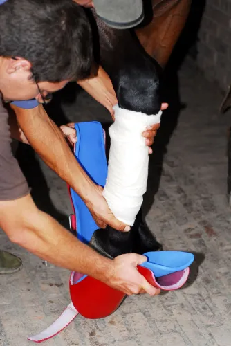 But uciskowy dla koni REDBOOT H13_Redboot_Emergency-Compression-Boot_10.jpg