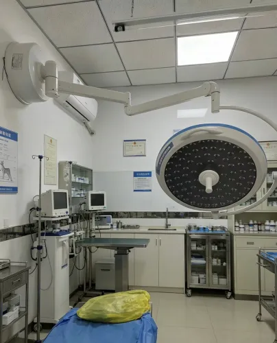 Lampa operacyjna bezcieniowa VET-LI01 49FA9175-2141-493C-8DBB-29562AAA0BFB.png