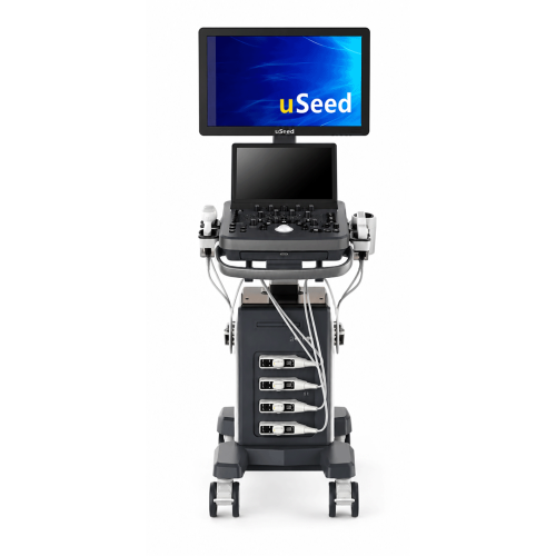 USG-kolorowy-doppler.png