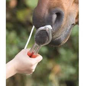 Poskrom dla koni z linką Dutka-nosowa-poskrom-dla-koni-z-linka-model-EQUIVET-5.webp