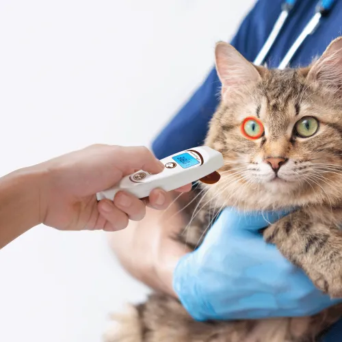 Termometr bezdotykowy VisioFocus Pet VisioFocus PET-1.png