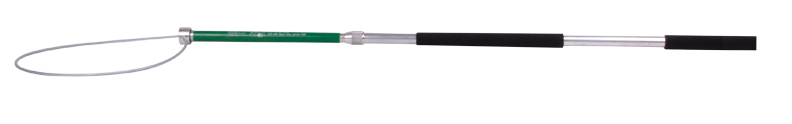 ACP46.jpg
