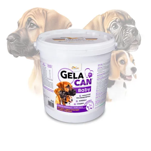 Gelacan Baby Aquamin dla szczeniąt GC-Baby-5-kg.jpg