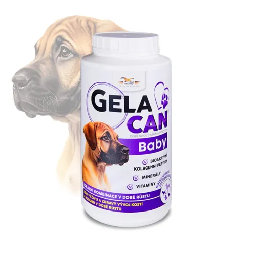 Gelacan Baby Aquamin dla szczeniąt Gelacan-Baby-1-kg---proszek.jpg