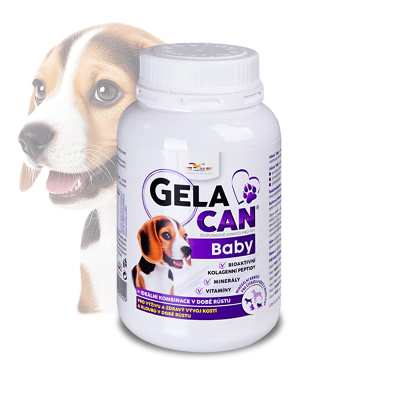 Gelacan Baby Aquamin dla szczeniąt