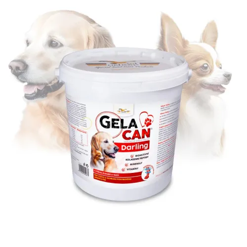 Gelacan Darling dla psów GC-Darling-5-kg.jpg