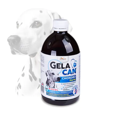 Gelacan Chondro Forte Biosol dla psów 500 ml