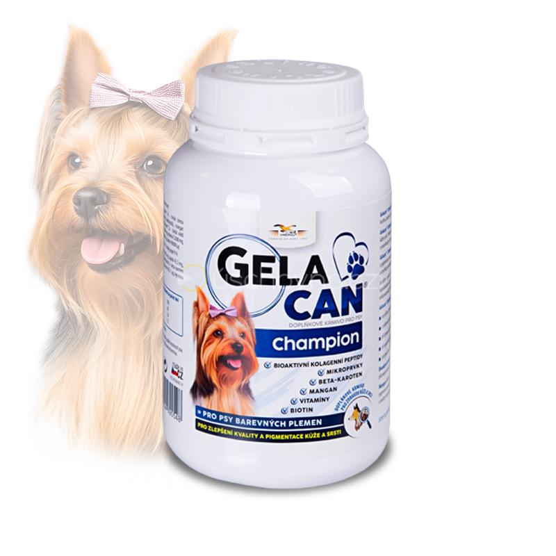 Gelacan Champion Color