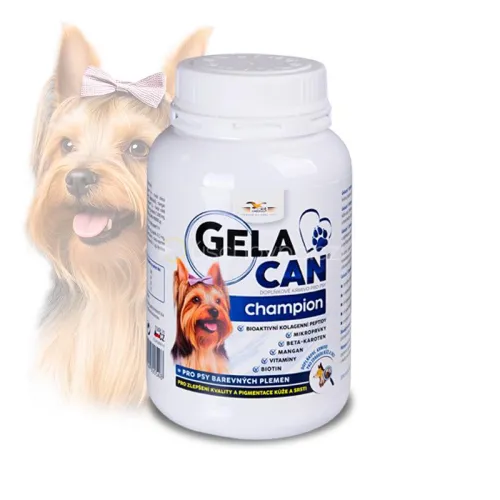 Gelacan Champion Color GC-Champion-kolor-150-g.jpg