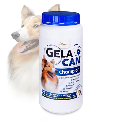 Gelacan Champion Color GC-Champion-kolor-500-g.jpg