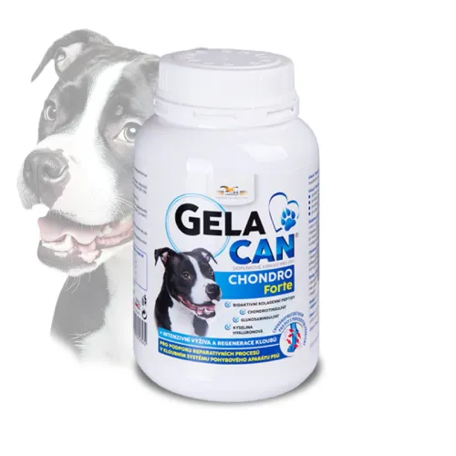 Gelacan Chondro Forte dla psów