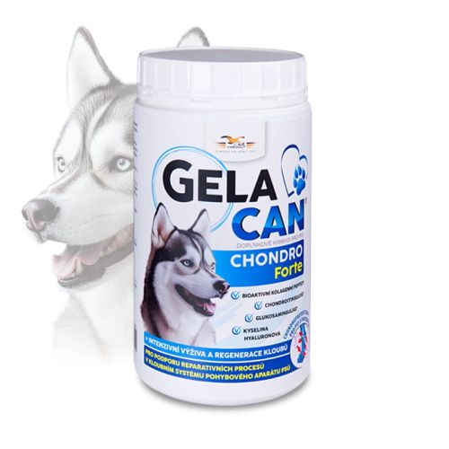 Gelacan-Chondro-Forte-500-g---proszek.jpg