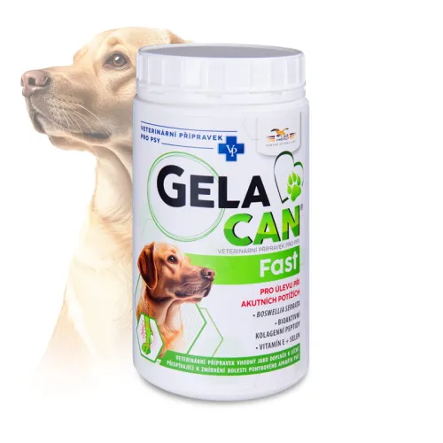 Gelacan Fast dla psów na stawy Gelacan-Fast-500-g---proszek.jpg