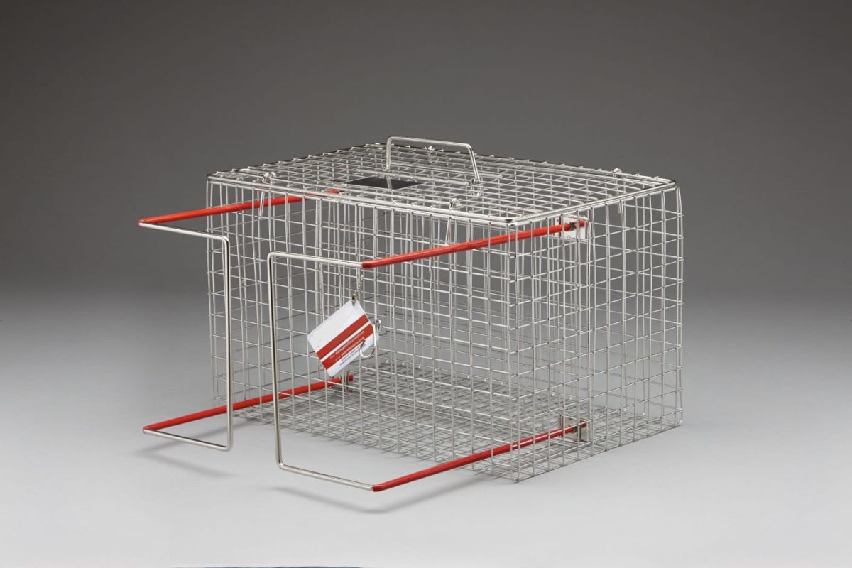 Klatka zabiegowa stalowa.jpg