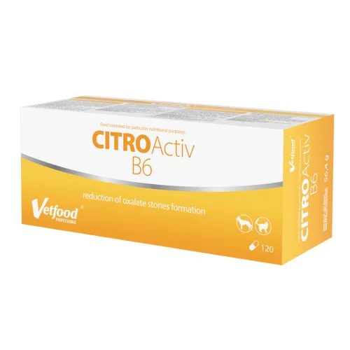 CitroActiv B6 120 kapsułek Vetfood