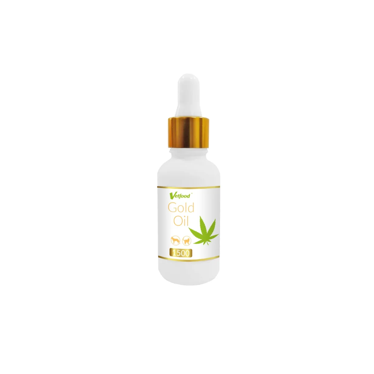 Gold-Oil.webp