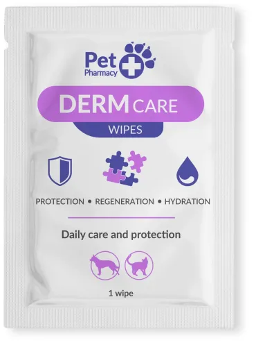 Derm Care Wipes chusteczki 20 szt.