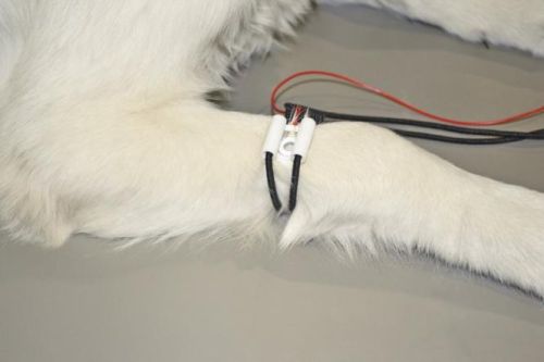 Bezbolesne elektrody EKG dla kończyn 4 szt. Bezbolesne elektrody EKG-2.jpg