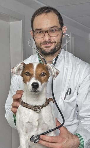 HEINE GAMMA Stetoskop 3.2 HEINE GAMMA Stetoskop duży-3.jpg