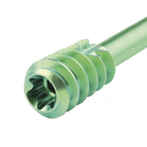 Śruba kompresyjna tytanowa zielona Śruba kompresyjna tytanowa zielona 4,5 x 20-2.jpg