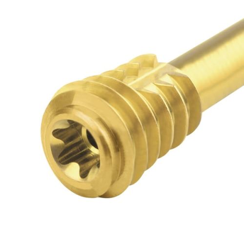 Śruba kompresyjna tytanowa złota Ø 6,5 x dł. 26 mm-23.jpg