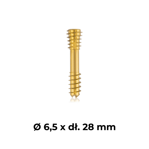 Śruba kompresyjna tytanowa złota Ø 6,5 x dł. 28 mm.png