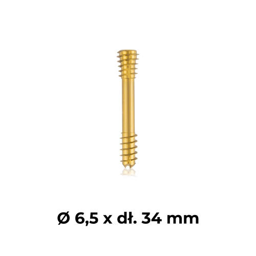Śruba kompresyjna tytanowa złota Ø 6,5 x dł. 34 mm.png