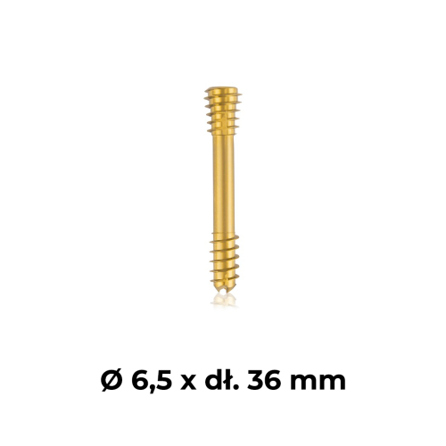 Śruba kompresyjna tytanowa złota Ø 6,5 x dł. 36 mm.png