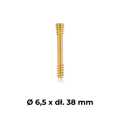 Śruba kompresyjna tytanowa złota Ø 6,5 x dł. 38 mm.png