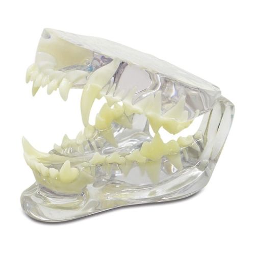 174093.tif_Onlineshop.jpg