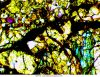 Delta-Optical-Genetic-Pro-Bino-7.jpg